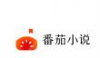 番茄小说金币怎么兑换？秒到账方法在这里！