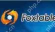 Foxtable怎么锁定项目？锁定项目方法一览