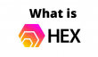 HEX币种分析：长期持有价值评估
