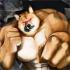 恐怖柴犬下载安装