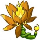 PVZ融合版2.4正版安卓版下载