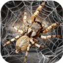 蜘蛛模拟生存游戏下载