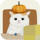 收纳物语最新版