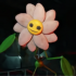 Poppyplaytime4手机版