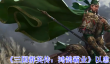《三国群英传：鸿鹄霸业》以患为利武技介绍