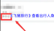 《飞猪旅行》查看出行人身份证方法