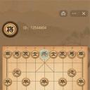 像棋的象棋游戏下载