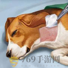 宠物救助模拟器游戏