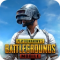 PUBG奇幻大乱斗模式下载