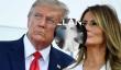 特朗普夫人梅拉尼娅也发Meme币MELANIA！涨超34倍突破18美元