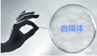 如何用YY在视频号直播？有风险吗？