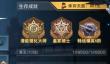 明日之后皇家骑士要多少钱