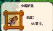 星露谷物语钓鱼有什么技巧