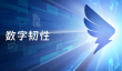 钉钉网页版登录入口在哪