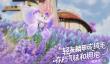 伊莫新手怎么玩