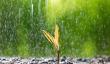 暴雨+雷暴大风 这些地方注意防范