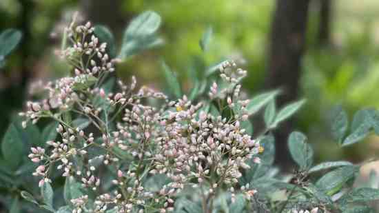 跑跑卡丁车游戏情侣名字