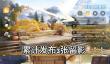 无限暖暖丰收季