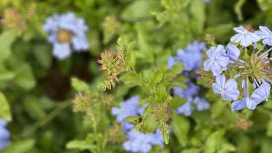 霸气超拽5个字的游戏名字