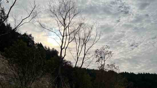 唯美浪漫的游戏网名