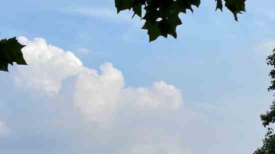 和平精英优雅的名字id