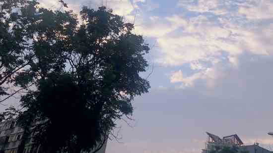 原神文艺点游戏名字