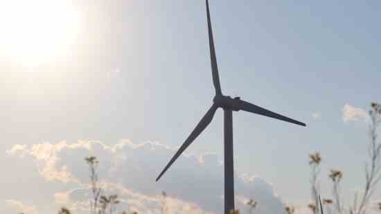 御龙在天游戏女名字