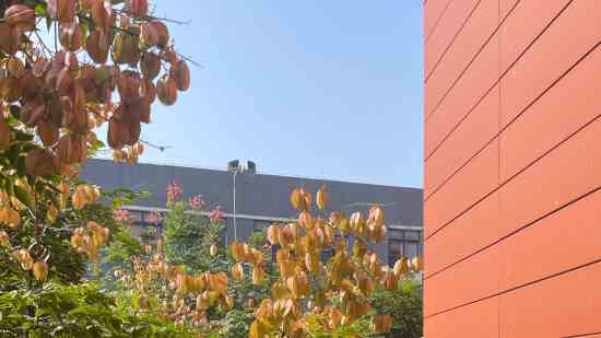 御龙在天霸气男生名字_爷丶统领全区