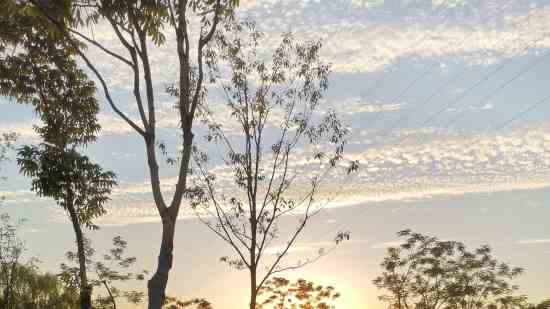 个性的梦幻西游游戏名字