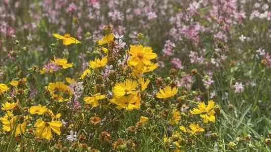 大话西游个性名字
