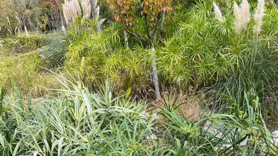 倩女幽魂5个字游戏名字