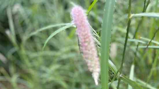 魔域霸气个性网名