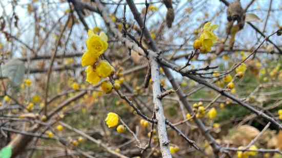 魔域游戏角色名字