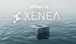 Xenea(XENE币)是什么?值得投资吗?XENE代币经济与发展路线介绍