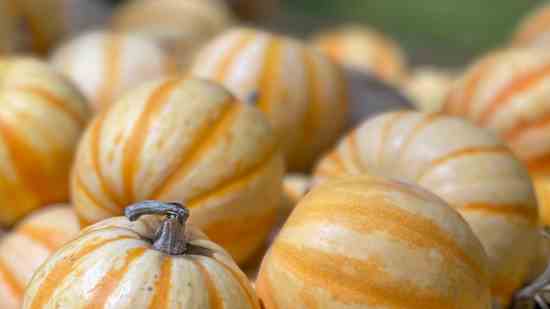 游戏名字古风诗意