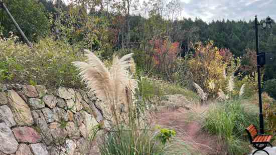 游戏里比较萌的id