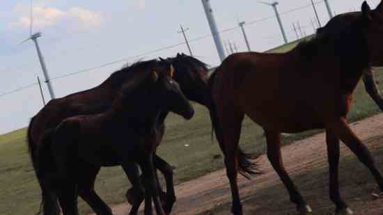 CF好玩有趣的游戏名字