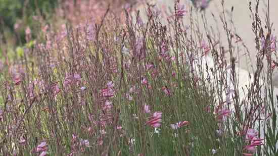 好听的第五人格昵称三个字