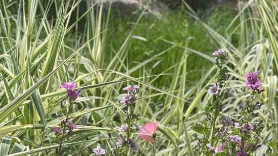 好听个性的王者荣耀名字