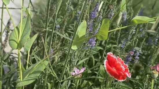 lol锐雯好听的游戏名字