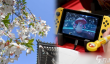 Switch2卡带像樱花新芽味 日本网络再掀“舔卡风潮”