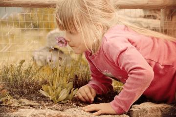 孩子乳名属兔中性名字怎么取