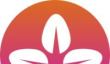ORGT币04月11日最新价格