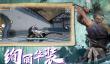 吃鸡游戏排行榜2025