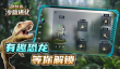 恐龙游戏童年回忆