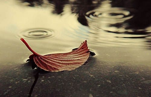 三国志浪漫战队名字 游戏名字