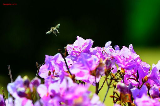 女鬼剑名字精选400个 游戏名字