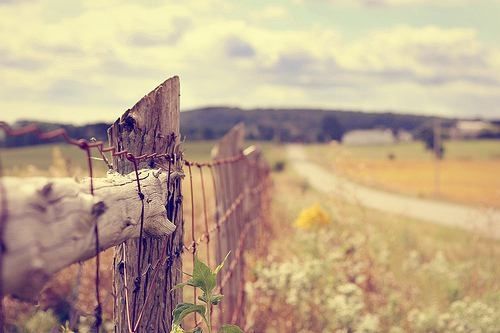 冷门又不容易撞的游戏id 游戏名字