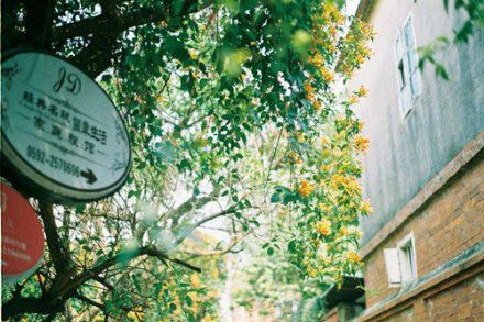 吃鸡女生温柔又可爱的游戏名字 游戏名字