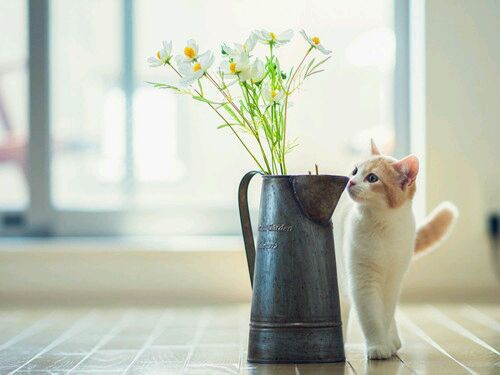 永远的7日之都女生游戏名字(200个) 游戏名字